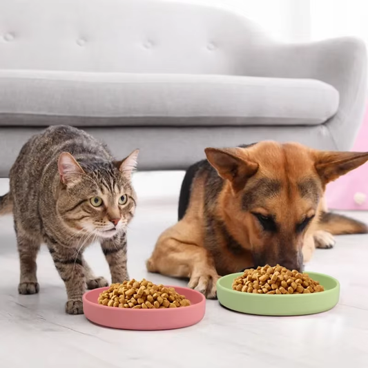 Portable Silicone Dog & Cat Bowl
